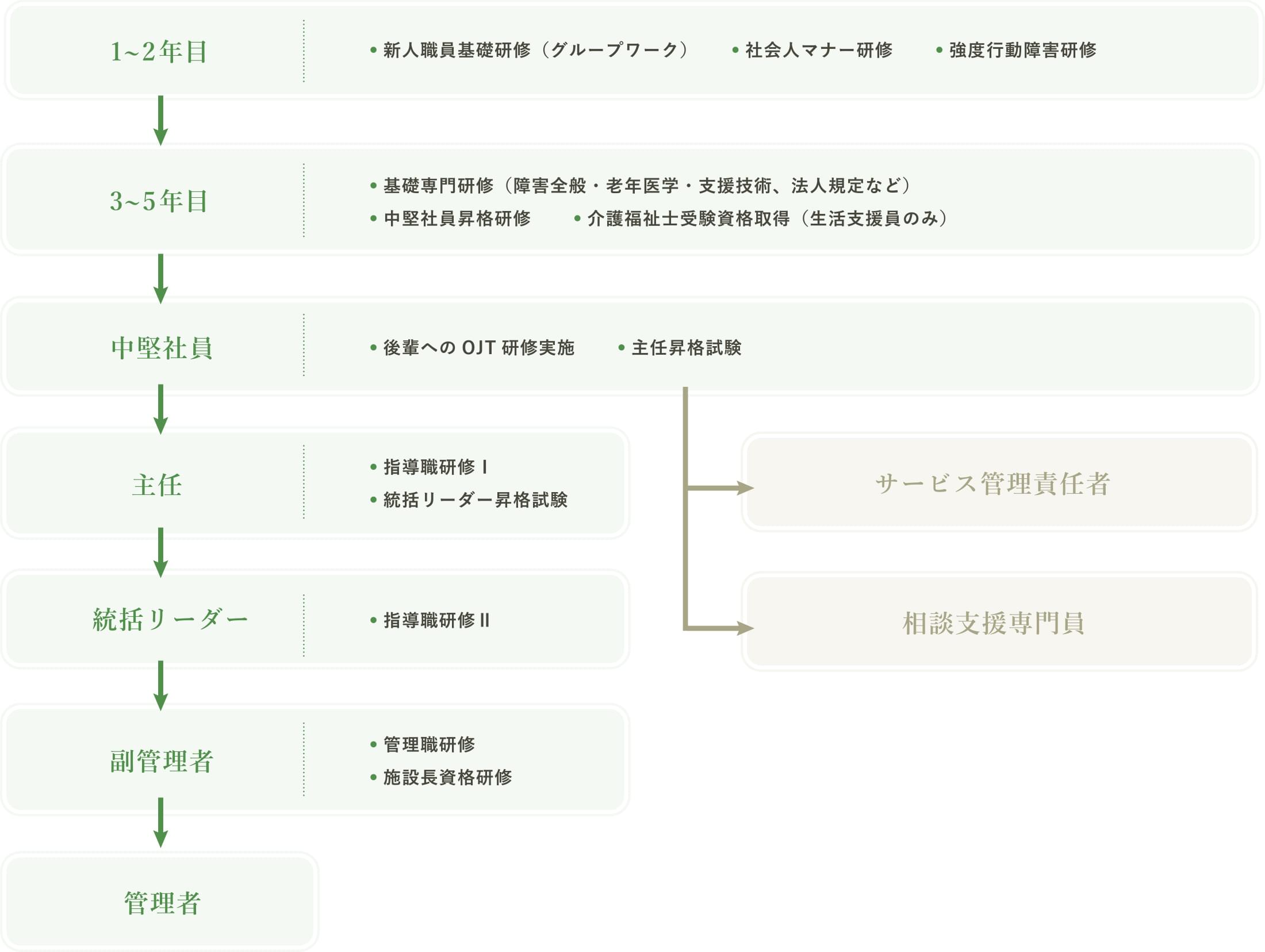 正規職員のキャリアパス制度