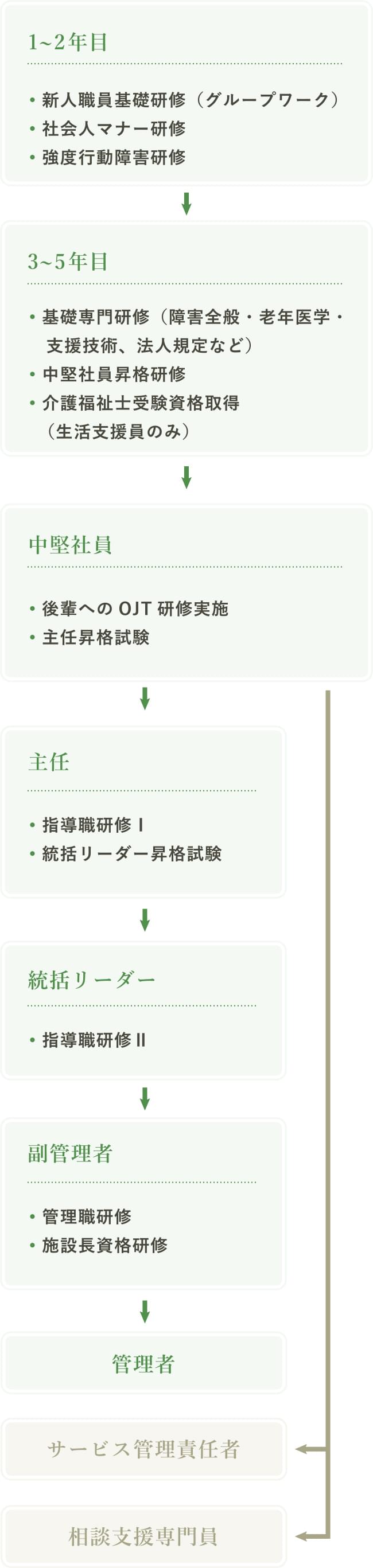 正規職員のキャリアパス制度